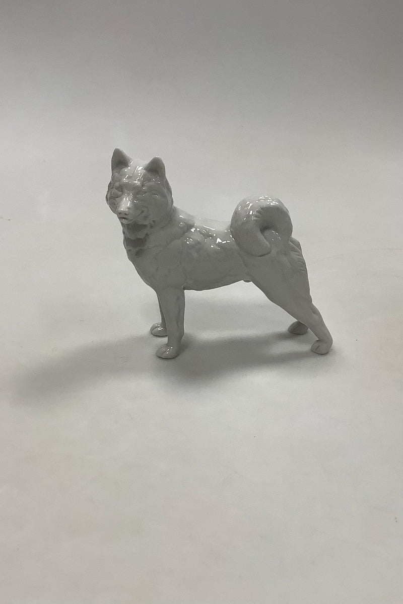 Royal Copenhagen Figur No. 0353 Sibirisk Husky - Danam Antik