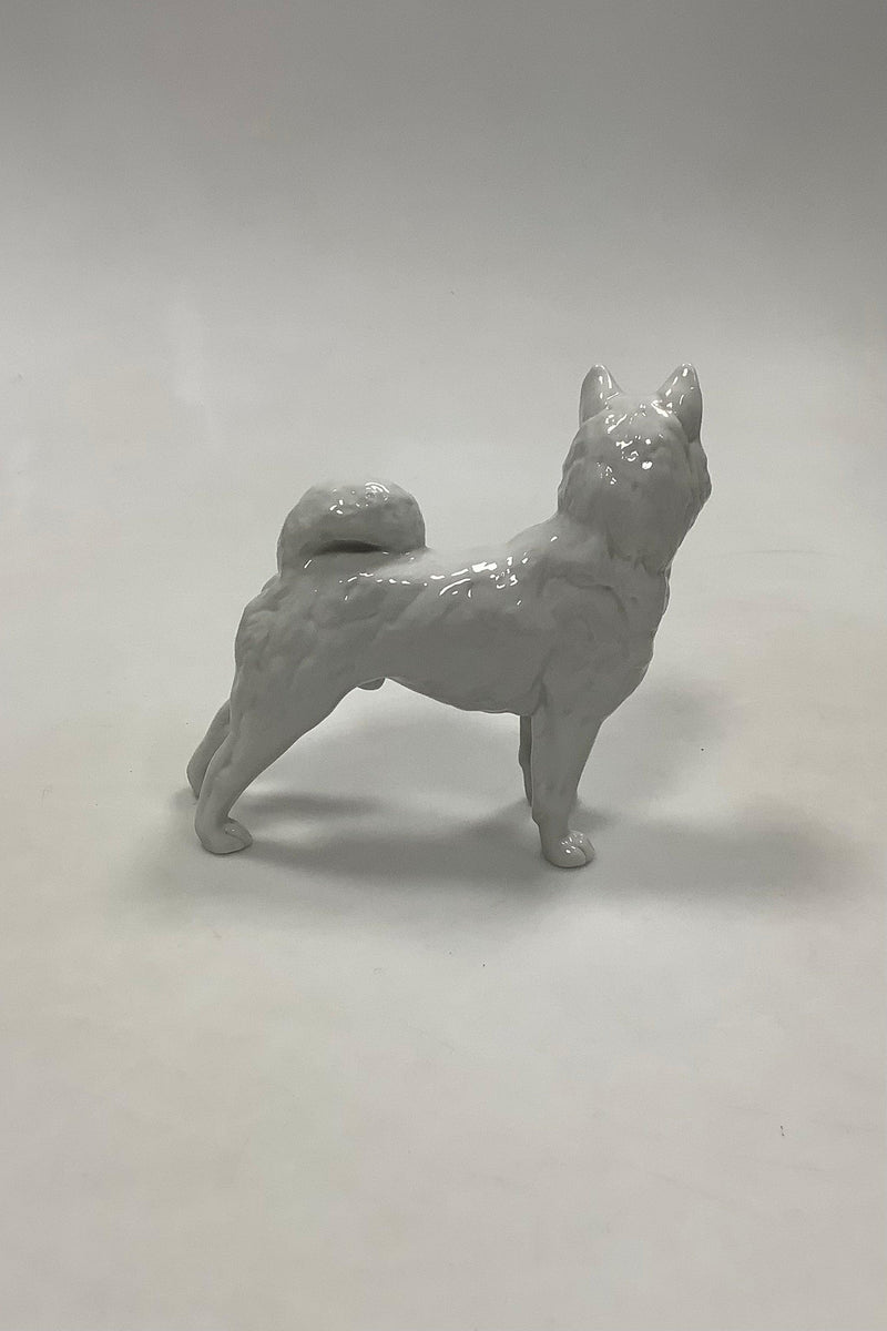 Royal Copenhagen Figur No. 0353 Sibirisk Husky - Danam Antik