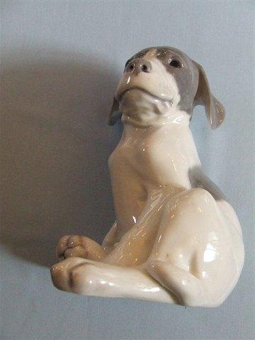 Royal Copenhagen Figur Pointer Hvalp No 259 - Danam Antik