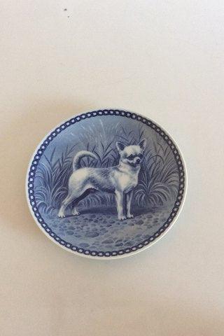 Tove Svendsen Original Hundeplatte Danmark Korthåret Chihuahua, Kurzhaarig Chihuahua, Smooth Chihuahua - Danam Antik