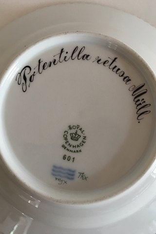 Kongelig Porcelæn Flora Danica Frugt tallerken 20/3590 - Danam Antik
