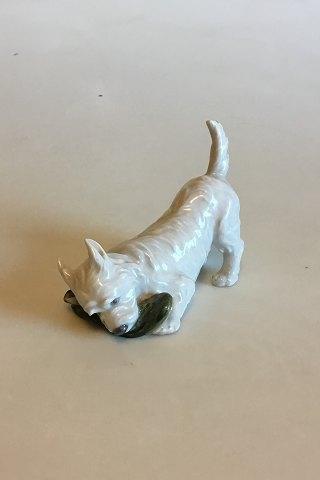 Royal Copenhagen Figur af Terrier med sutsko No 3476 - Danam Antik