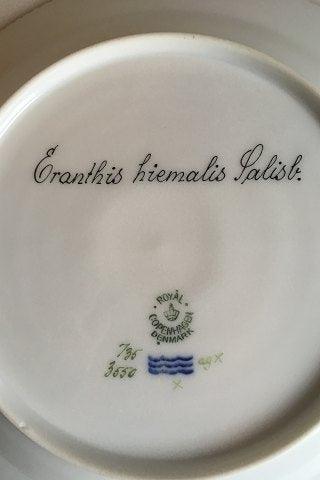 Royal Copenhagen Flora Danica Frokosttallerken No 735/3550 - Danam Antik