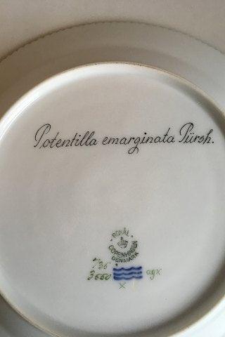 Royal Copenhagen Flora Danica Frokosttallerken No 735/3550 - Danam Antik