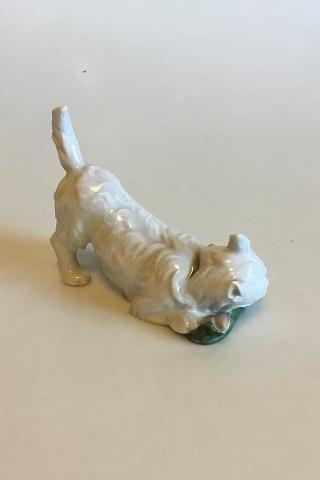 Royal Copenhagen Figur af Terrier med sutsko No 3476 - Danam Antik