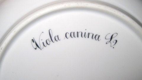 Kgl. Porcelæn Flora Danica Dyb Tallerken 20/3546 - Danam Antik
