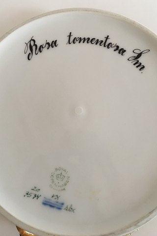 Kongelig Porcelæn Flora Danica Stor Frugt skål 20/3534 eller 397 - Danam Antik