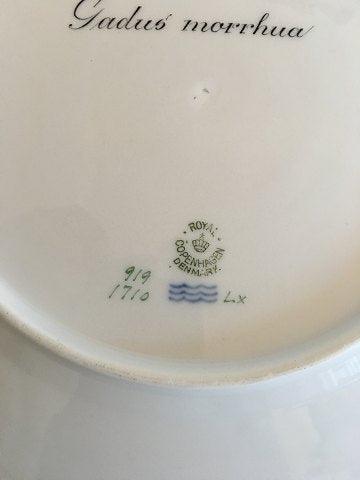 Royal Copenhagen Grøn Fiske tallerken No 919/1710 med Gadus Morrhua - Danam Antik